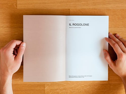 Progetto grafico libro ROGOLONE. Storia di un grande albero