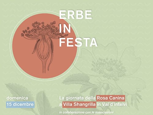 progetto grafico e realizzazione locandine eventi, mostre, rassegne Lago di Como