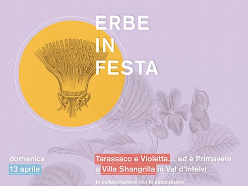 progetto grafico e realizzazione locandine eventi, mostre, rassegne Lago di Como