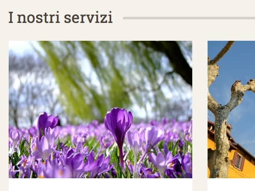 Siti web per giardinieri e imprese di manutenzione giardini