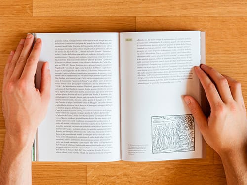 Progetto grafico libro ROGOLONE. Storia di un grande albero