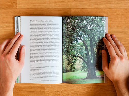 Progetto grafico libro ROGOLONE. Storia di un grande albero